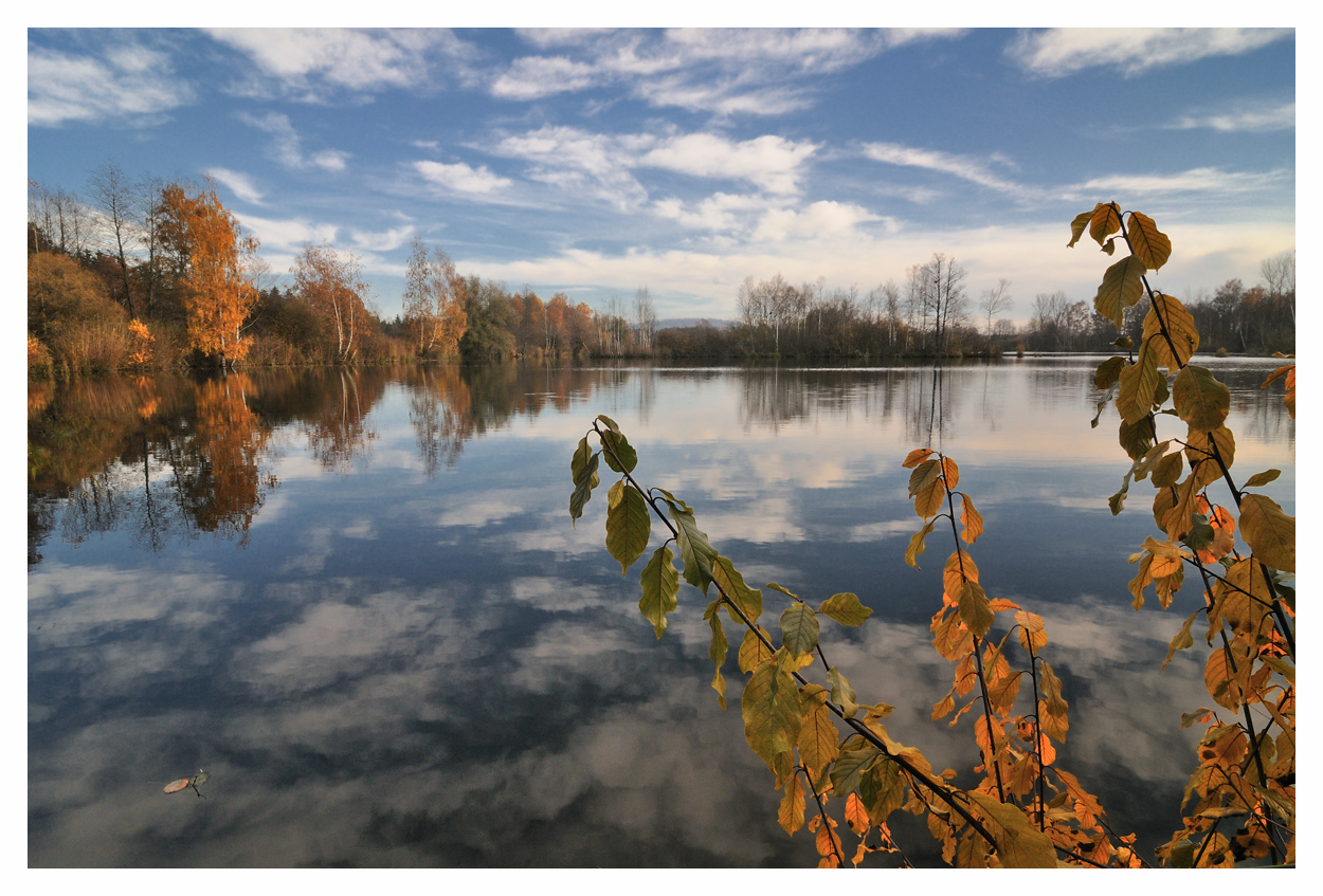 Herbst im Ried #6