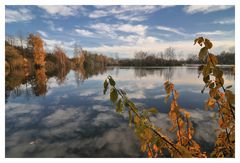 Herbst im Ried #6