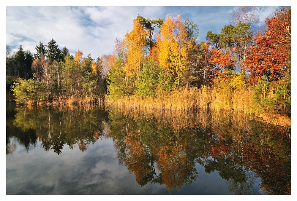 Herbst im Ried #7