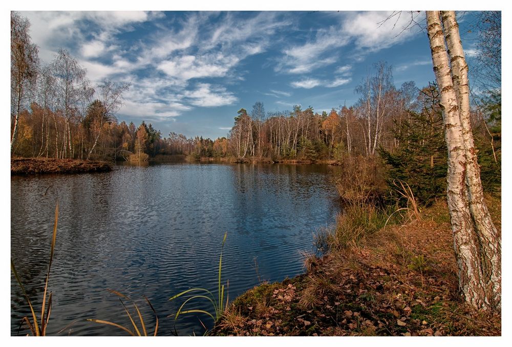 Herbst im Ried #8