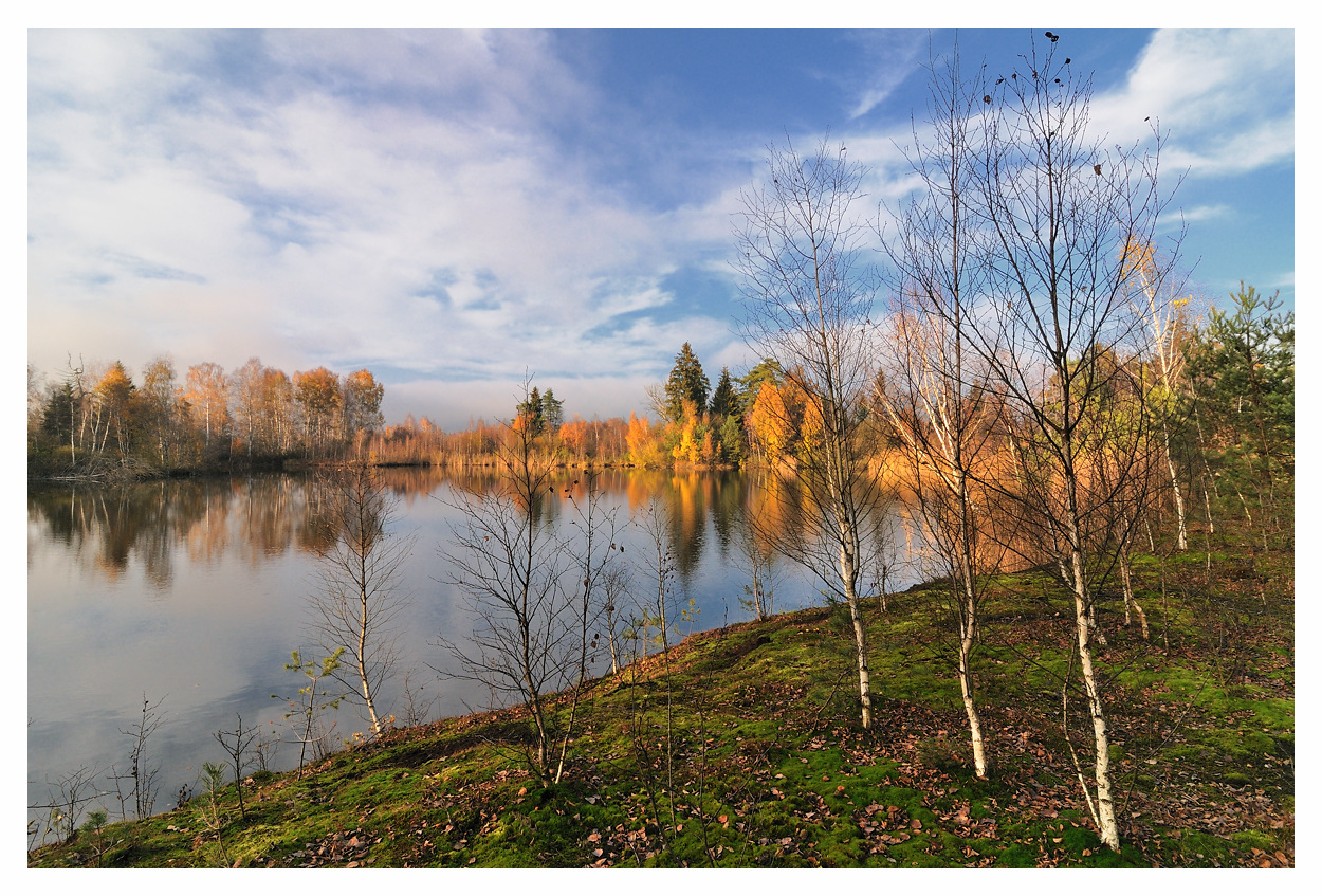 Herbst im Ried