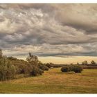 Herbst im Ried