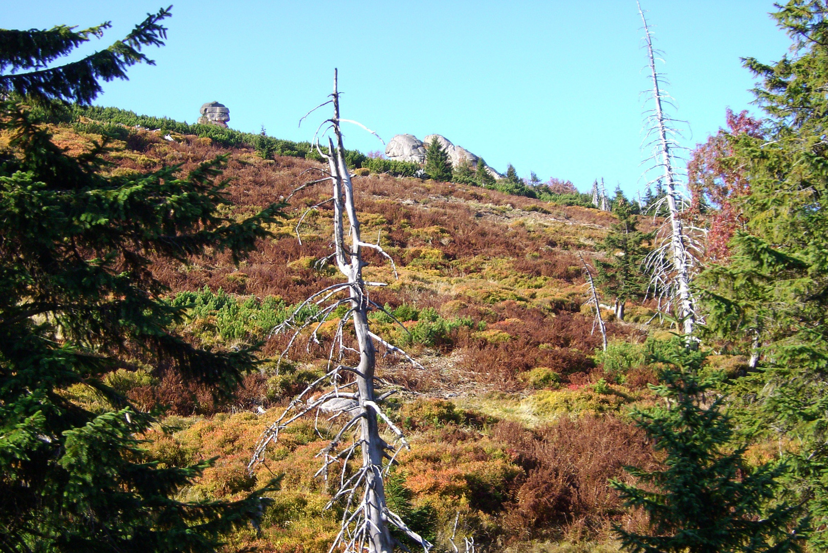 Herbst im Riesengebirge