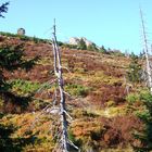 Herbst im Riesengebirge