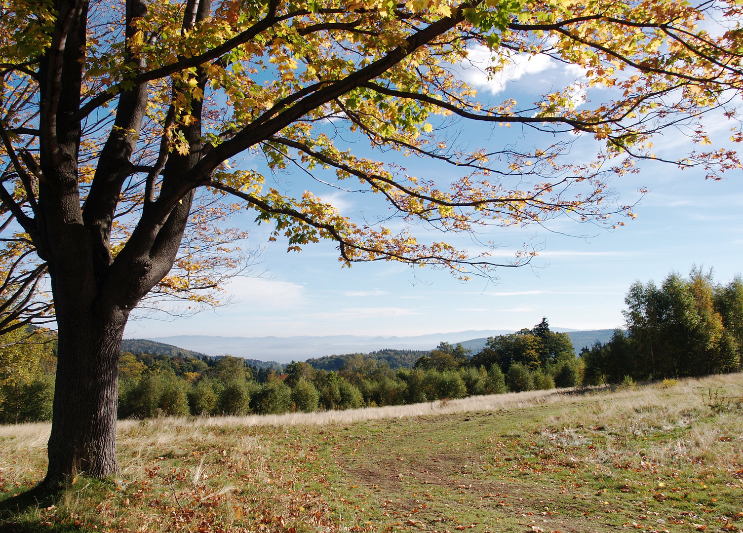 Herbst im Riesengebirge.