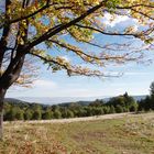 Herbst im Riesengebirge.