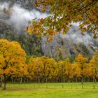 Herbst im Rißtal