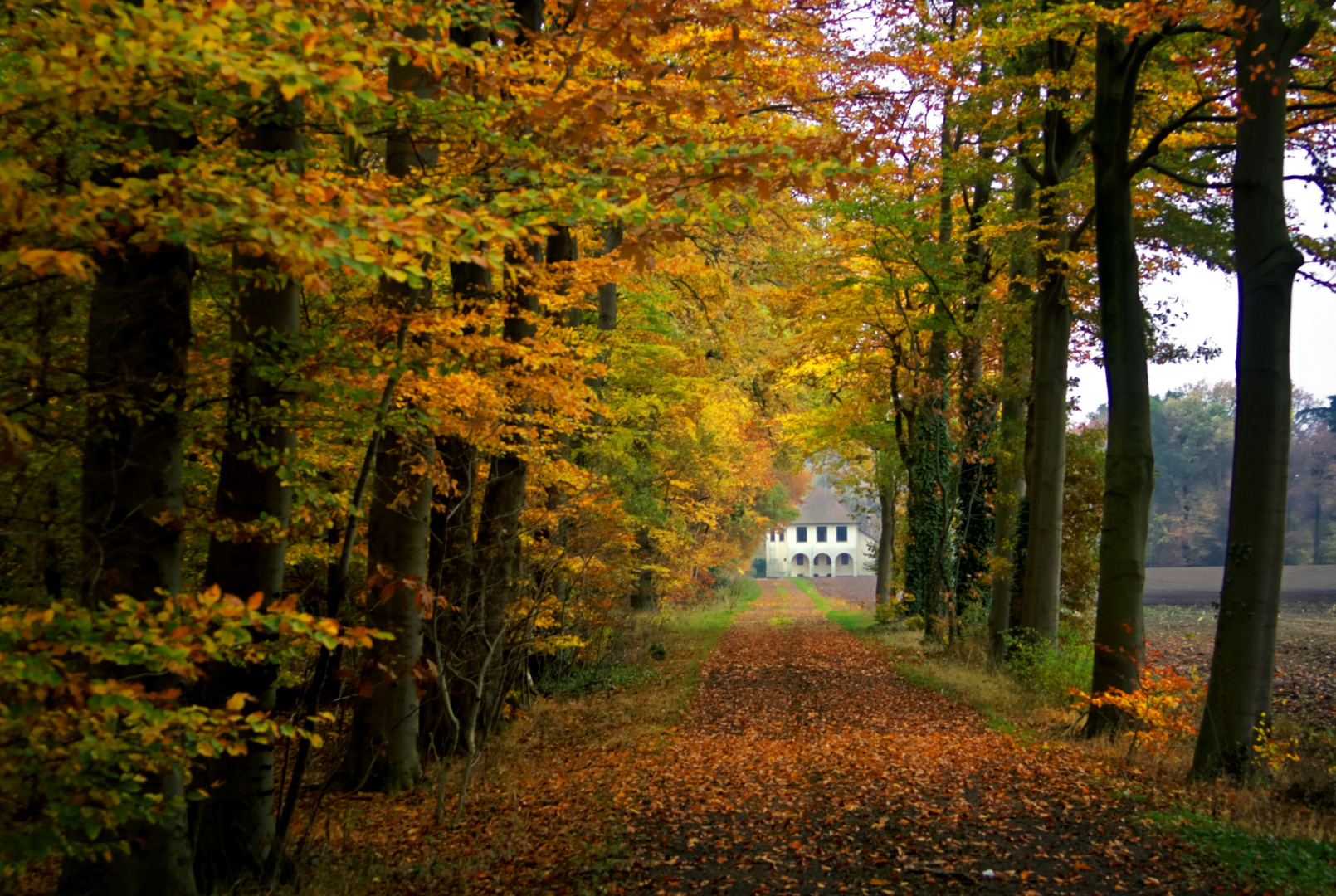 Herbst im Rittergut Falkenhardt