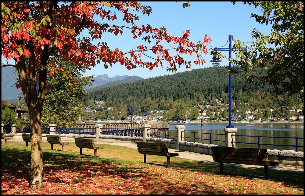 Herbst im Rocky Point Park