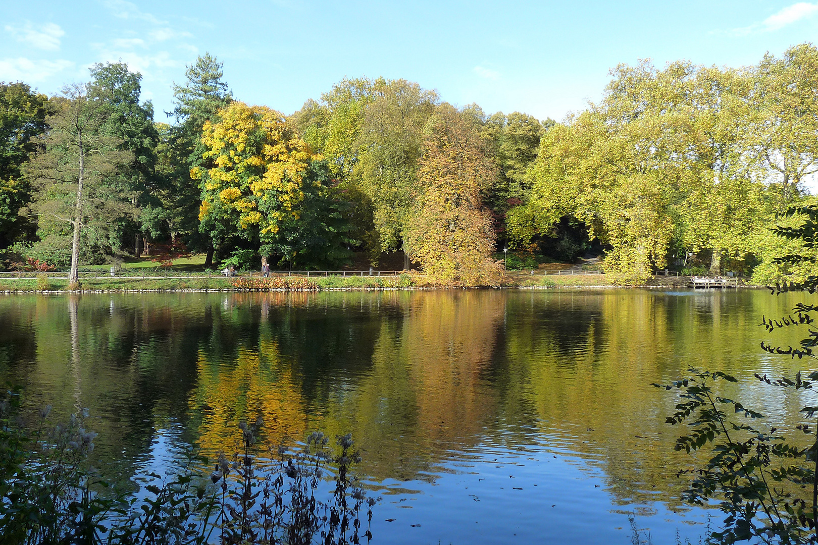 Herbst im Rombergpark