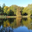 Herbst im Rombergpark