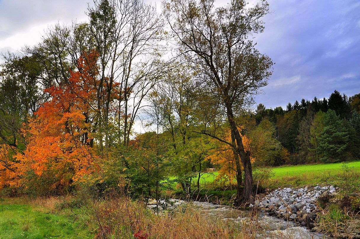 Herbst im Roschertal 