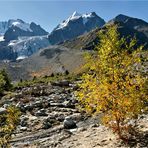 HERBST IM ROSEGTAL