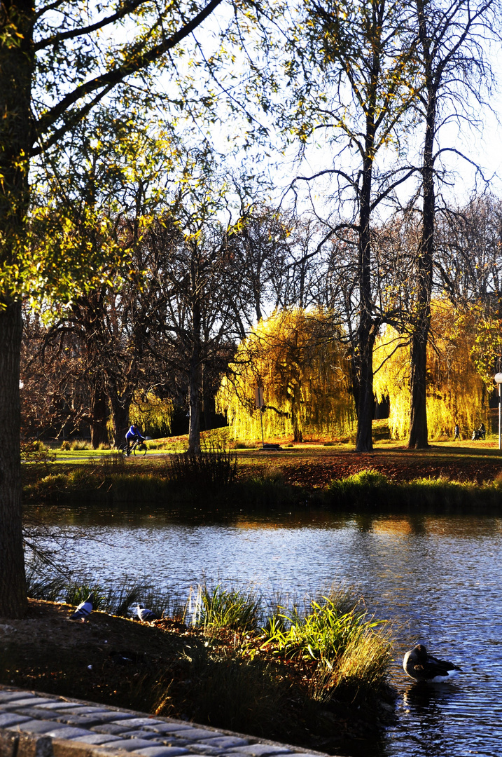 Herbst im Rosensteinpark