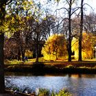 Herbst im Rosensteinpark