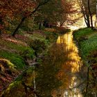 Herbst im Rotbachtal