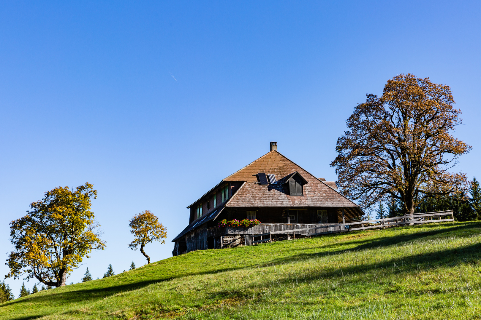 Herbst im Rotmoos