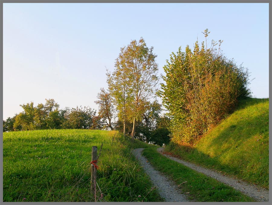 Herbst im Ruberbaum