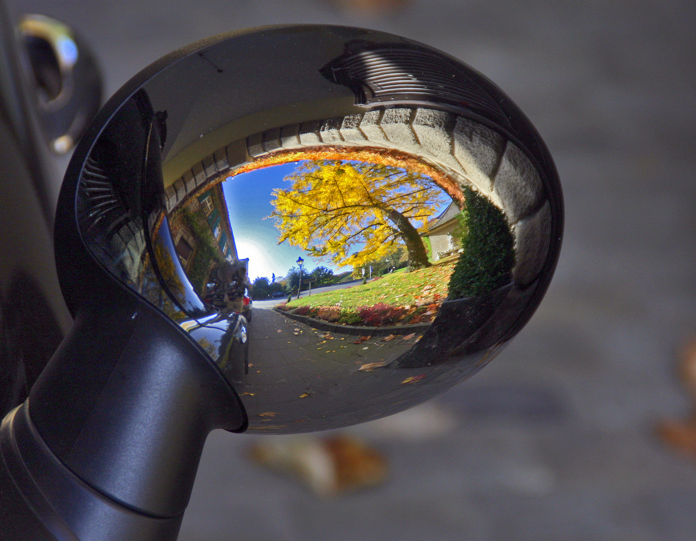 Herbst im Rückspiegel...