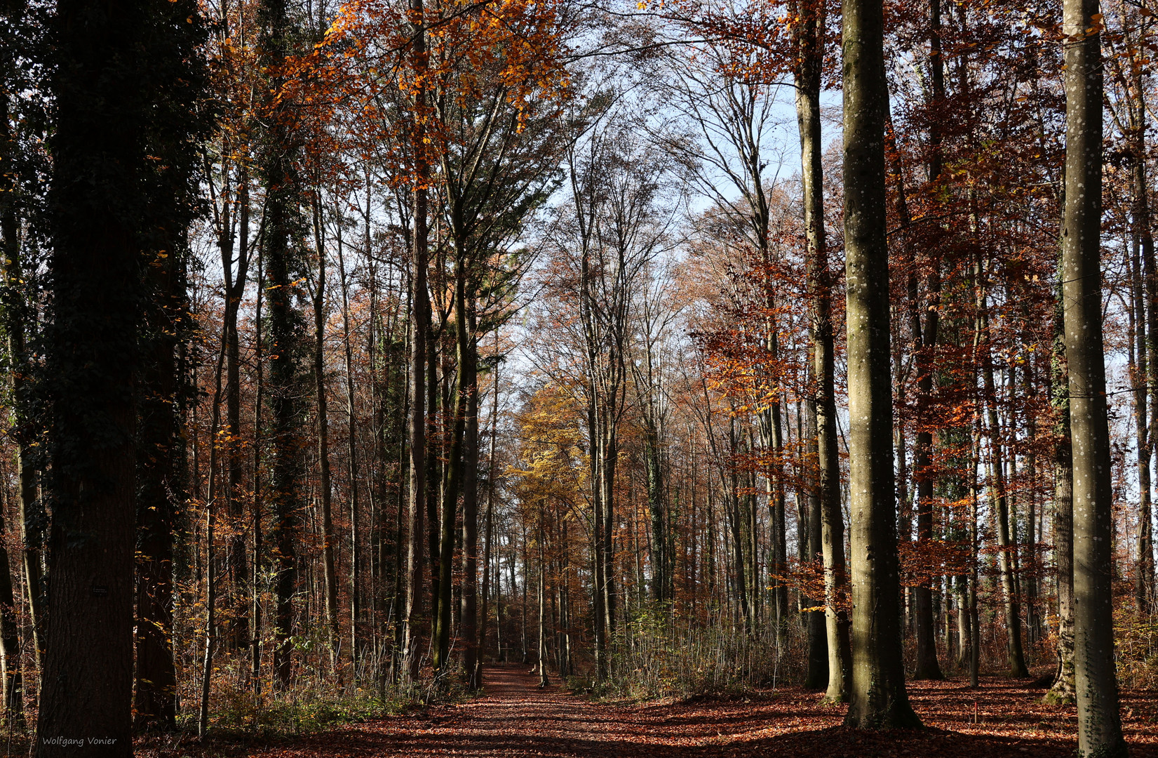 Herbst im Ruhewald