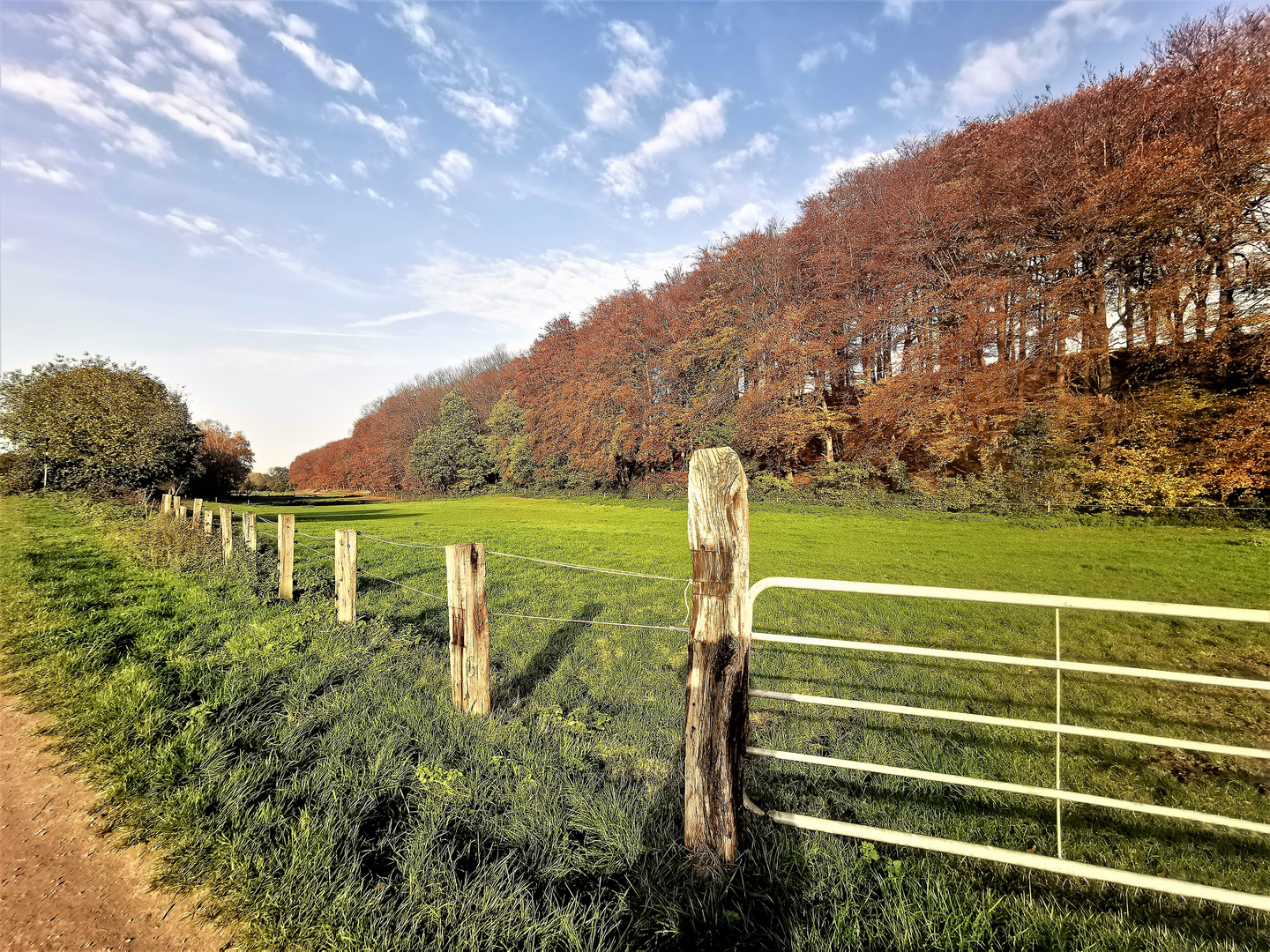 Herbst im Ruhrgebiet