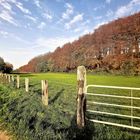 Herbst im Ruhrgebiet