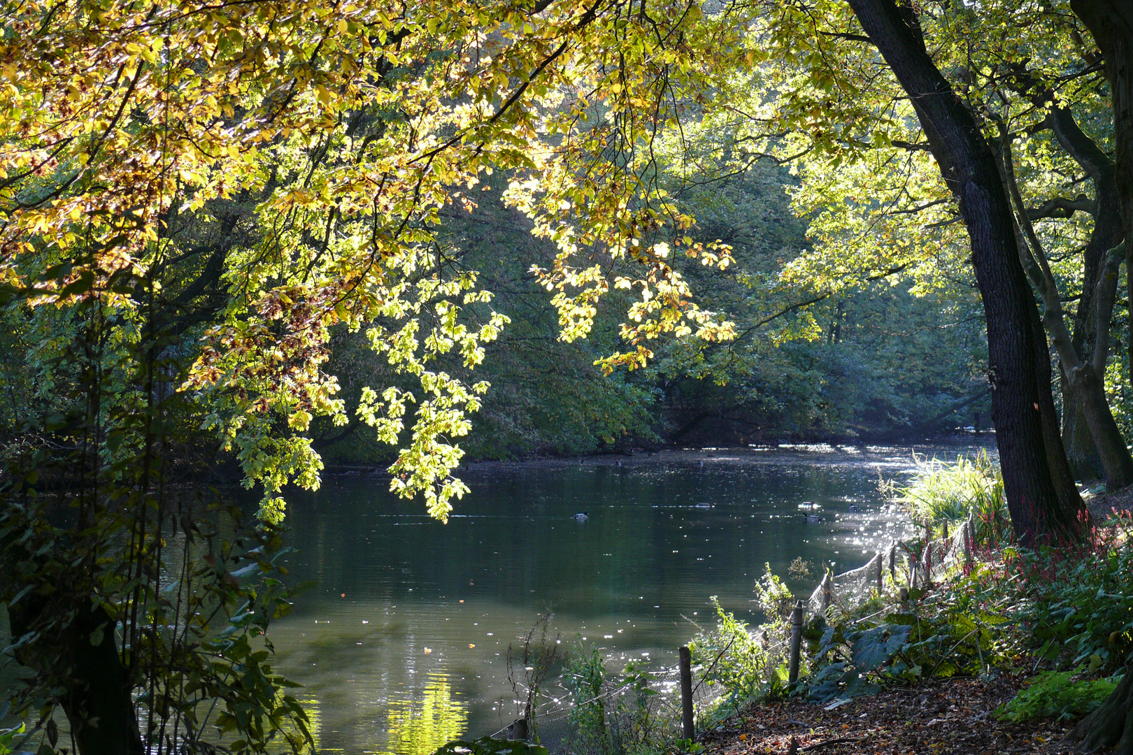 Herbst im Ruhrgebiet