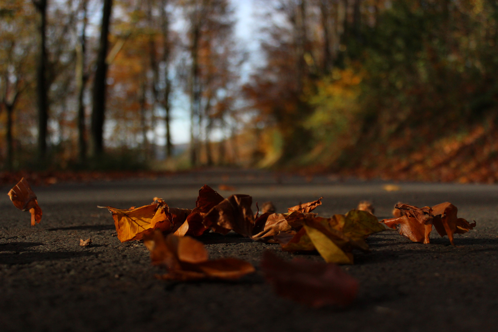 Herbst im Ruhrgebiet