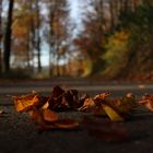 Herbst im Ruhrgebiet