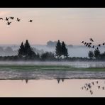 herbst im ruhrtal 2/3