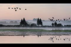 herbst im ruhrtal 2/3