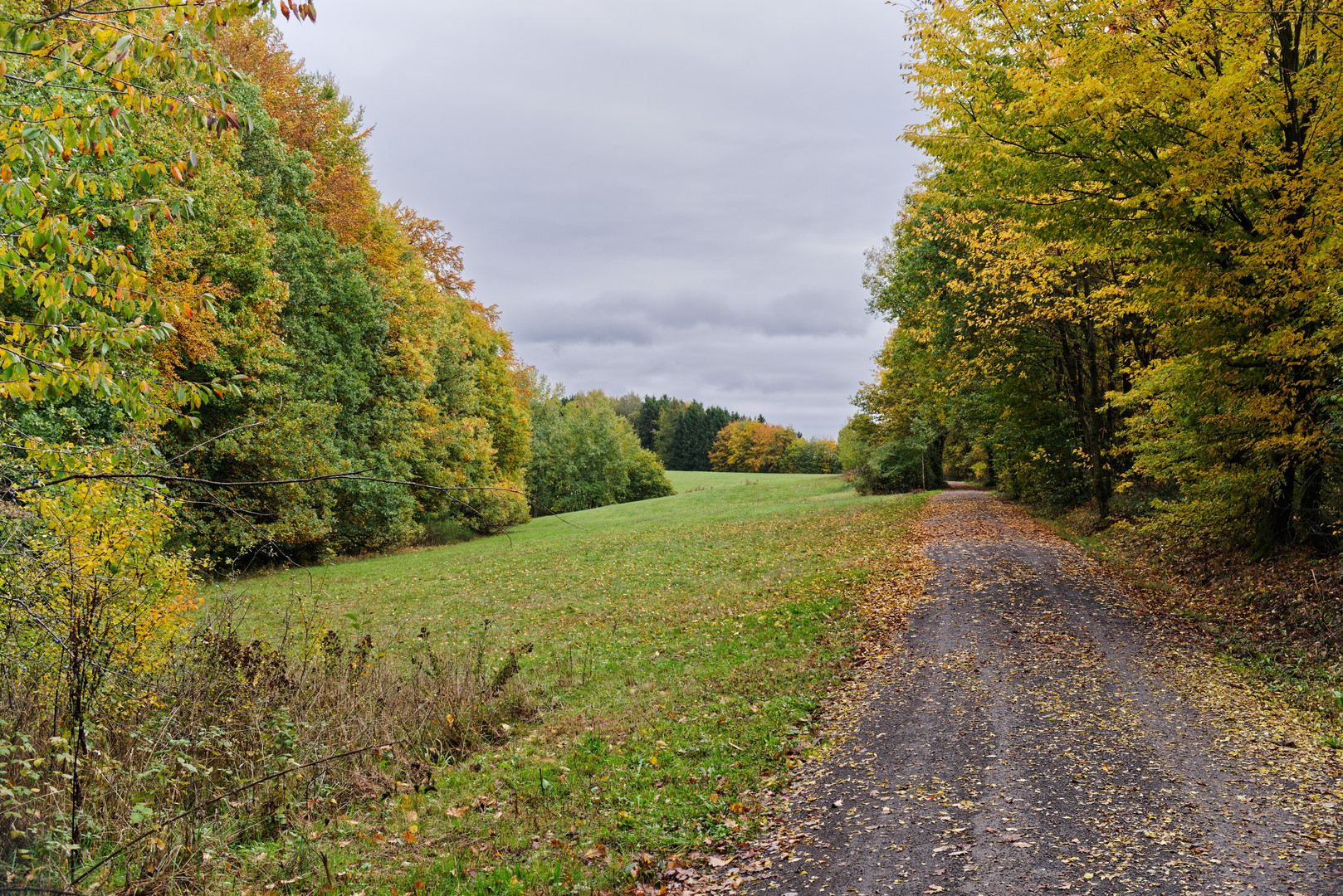 Herbst im Saarland