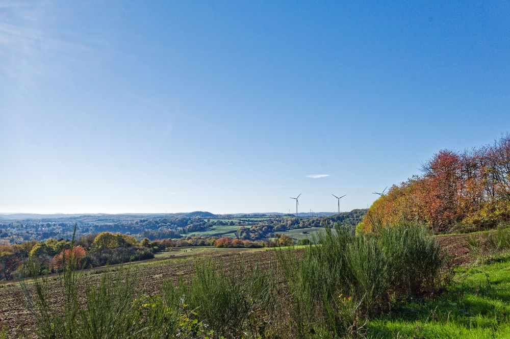 Herbst im Saarland