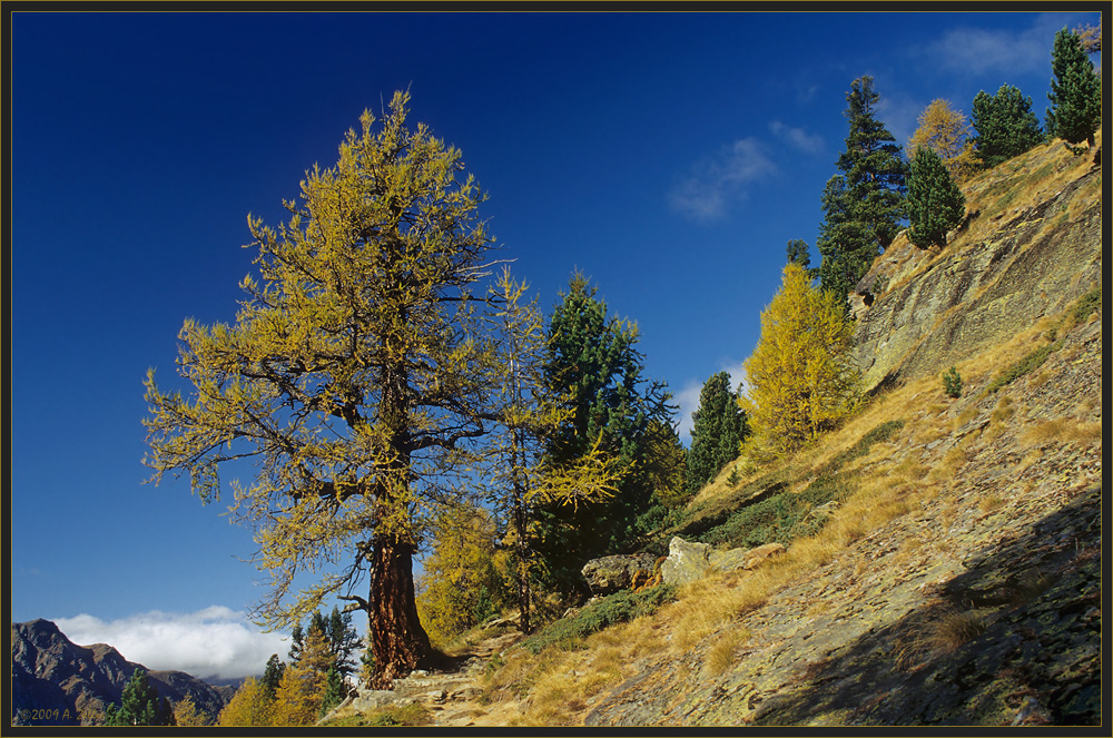 Herbst im Saastal