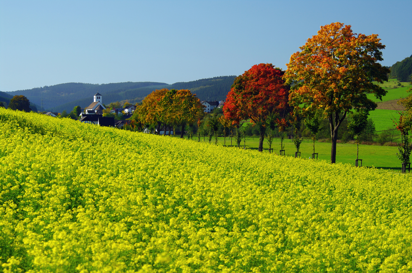 Herbst im Salweytal bei Eslohe