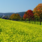 Herbst im Salweytal bei Eslohe