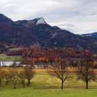 Herbst im Salzkammergut