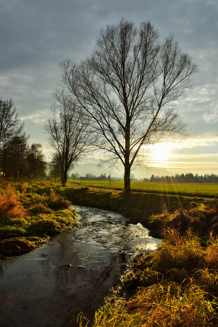 Herbst im Samer Mösl