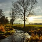 Herbst im Samer Mösl