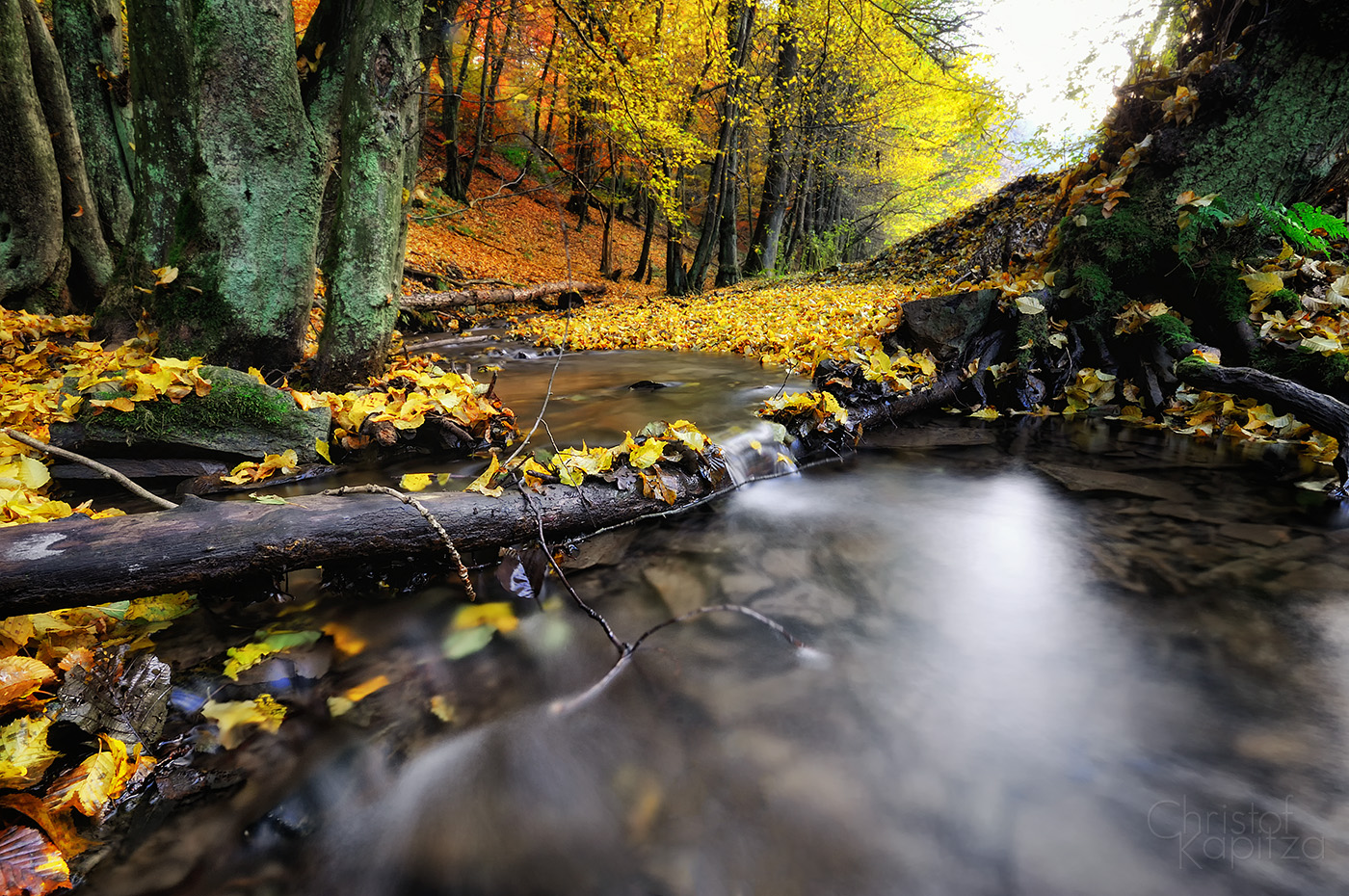 Herbst im Sauerland (2)