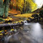 Herbst im Sauerland (2)