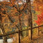 Herbst im Sauerland (20)