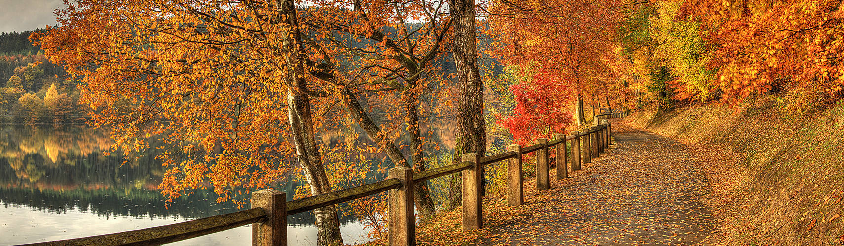 Herbst im Sauerland (20)