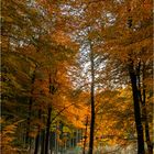 Herbst im Sauerland ...