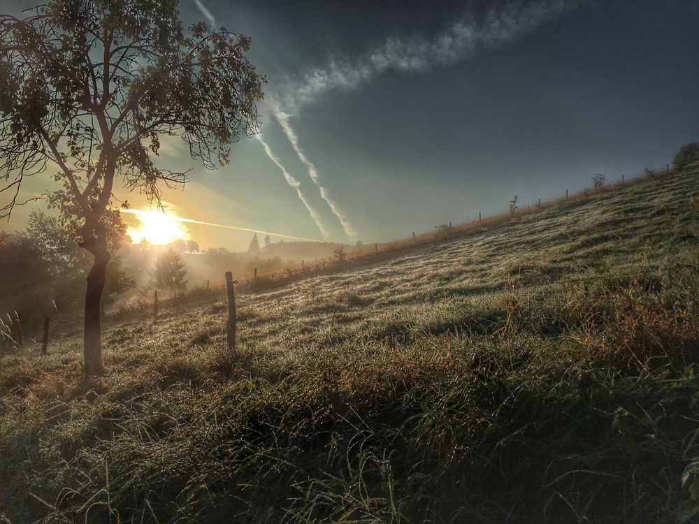 Herbst im Sauerland