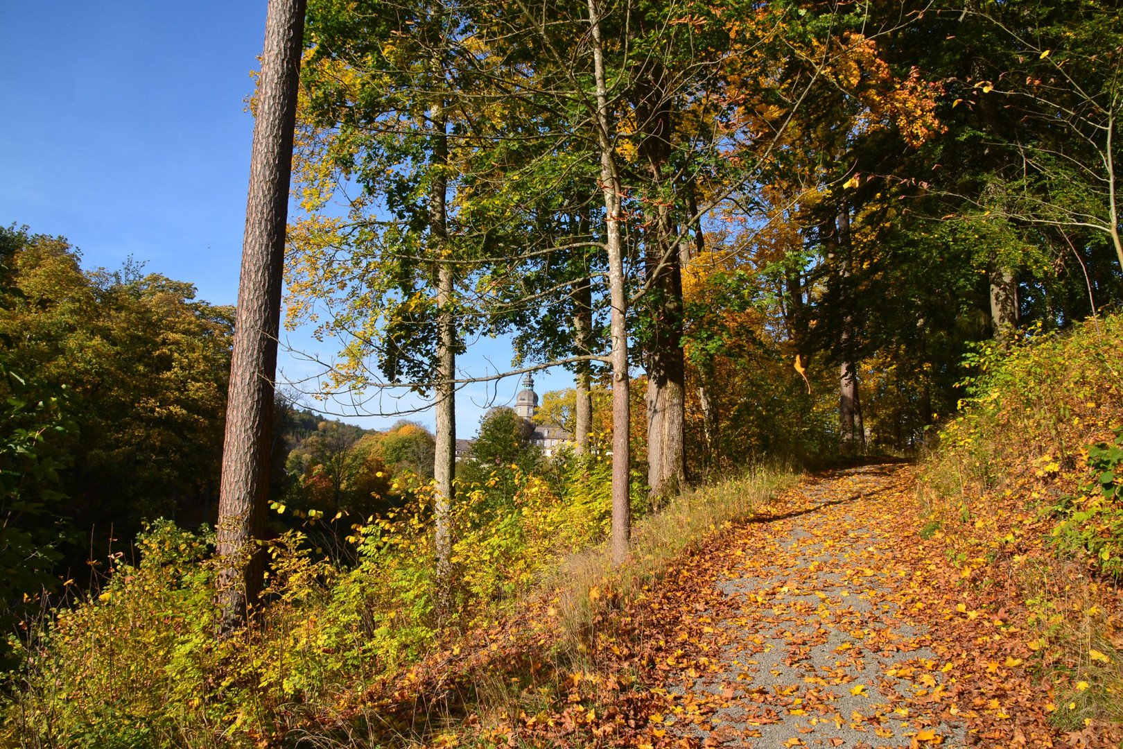 Herbst im Sauerland