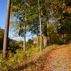 Herbst im Sauerland