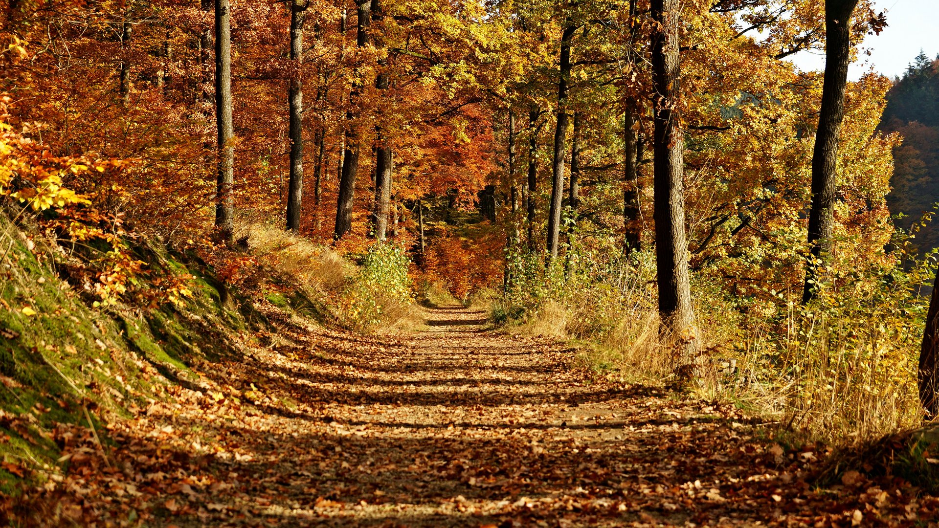 Herbst im Sauerland