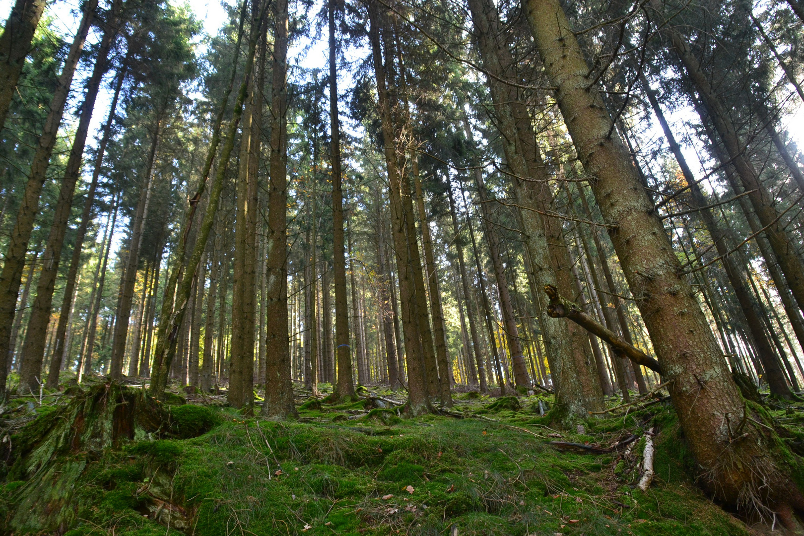 Herbst im Sauerland