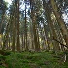 Herbst im Sauerland